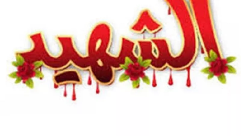 الدفاع عن الأوطان اعلى مراتبها..3 انواع للشهداء