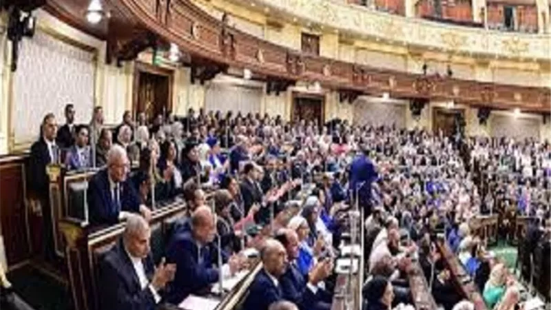 نائبا رئيس مجلس الوزراء أمام مجلس النواب بجلسات هذا الأسبوع