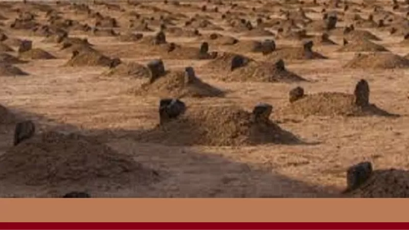 هل يتساوى شهيد المعركة وشُهداء العمل والامراض