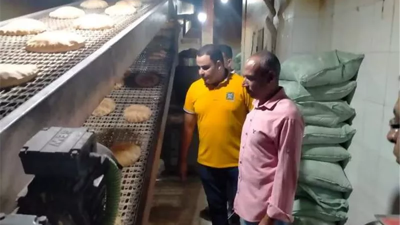 تحرير محاضر تموينية بدسوق