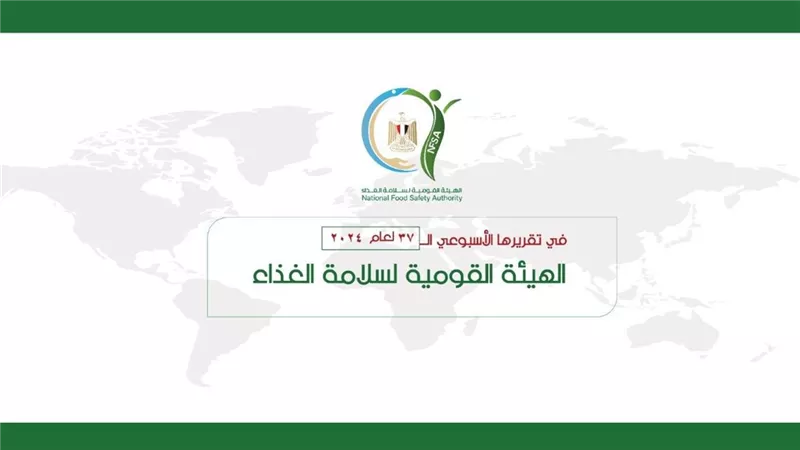 البطاطا والمانجو على رأس القائمة.. 343 إذن تصدير لحاصلات زراعية
