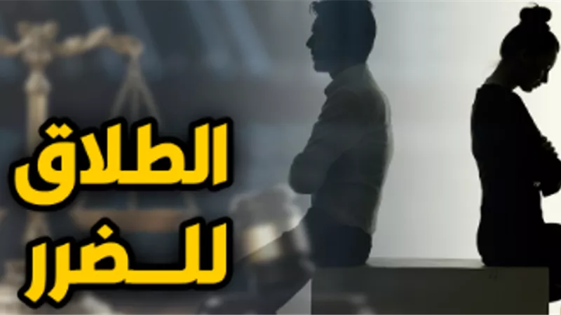 زوجة فى دعوى طلاق للضرر: تزوج دون علمي من 3 عرفيا