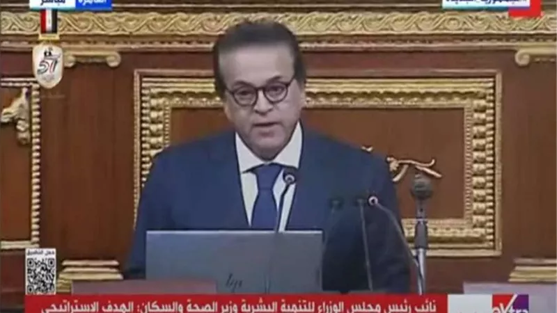 نائب رئيس الوزراء: حماية الأمن القومي مرتكز رئيسي في برنامج الحكومة