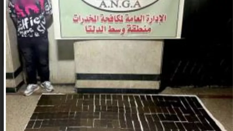 ضبط 3 عناصر إجرامية بـ 