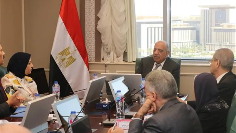 عصمت: إعادة هيكلة الشركة المصرية كمشغل مستقل لمنظومة نقل الكهرباء