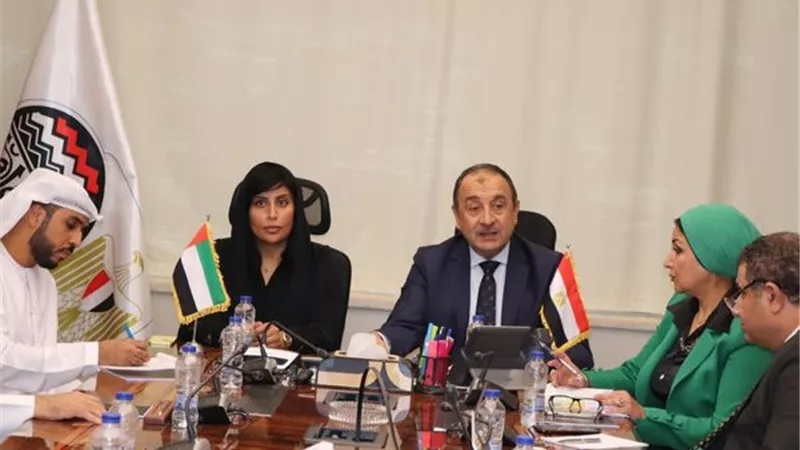 وزير قطاع الأعمال يبحث مع سفيرة الإمارات تعزيز التعاون الاستثماري