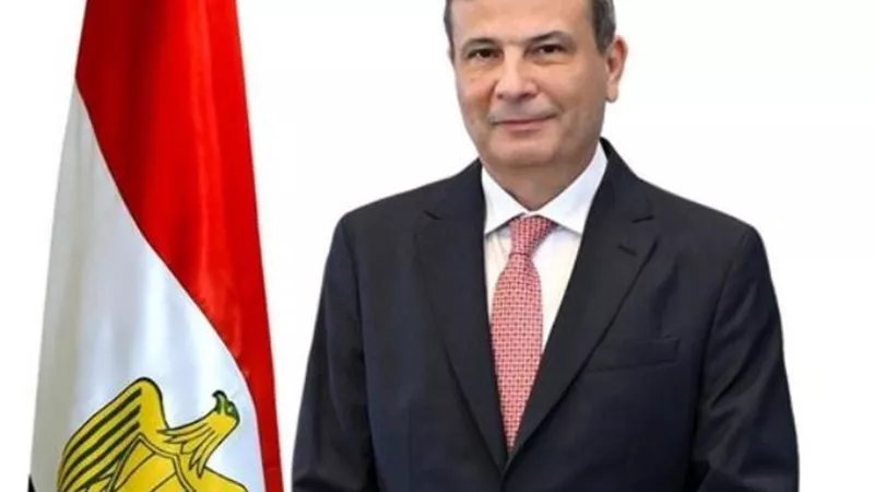 الزراعة: تقاوي القمح المعتمدة تكفي المساحة المستهدفة للزراعة