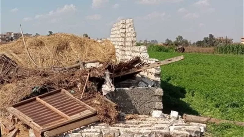 جهود مكثفة لإزالة التعديات على الأراضى الزراعية بالشرقية