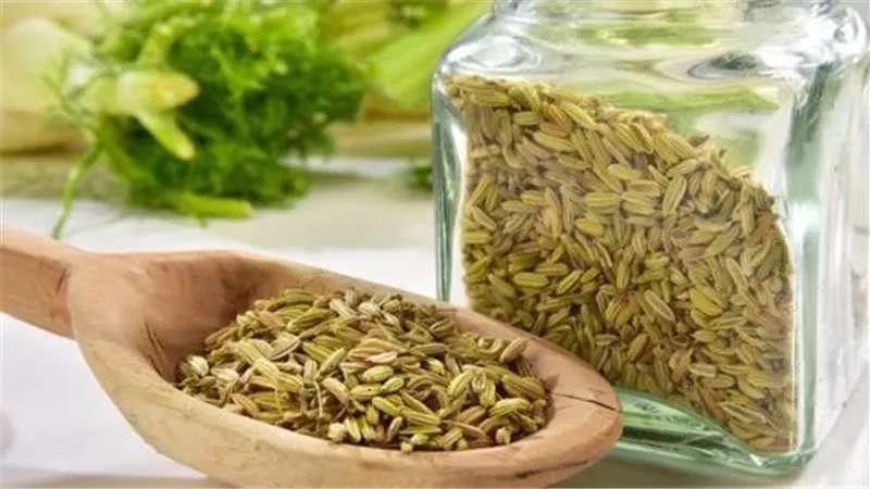 الفوائد الصحية لتناول العدس