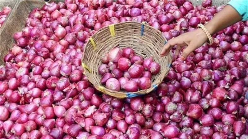 طرق تخزين البصل فترات طويلة