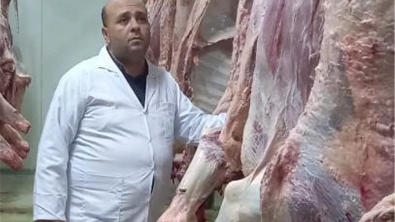 ضبط 100 كيلوا لحوم ودواجن مجمدة غير صالحه بشرم الشيخ