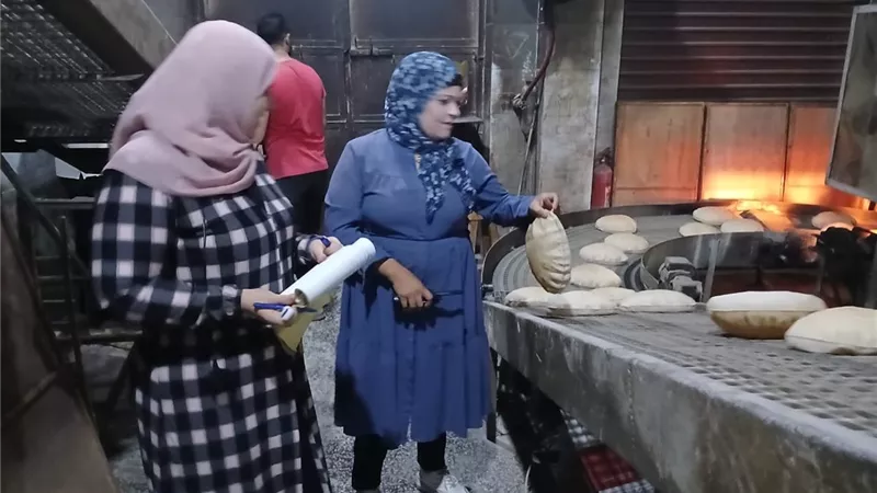 تحرير 13 محضرًا لمخالفات تموينية بدسوق كفر الشيخ