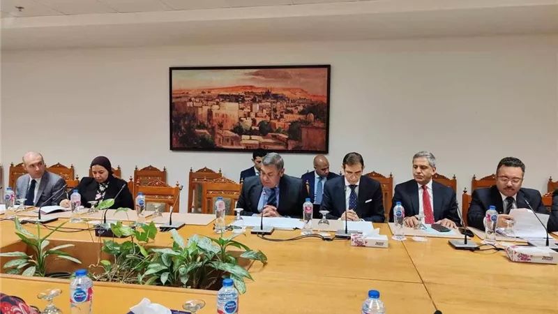 الخارجية:انعقاد اللجنة الدائمة لمتابعة العلاقات المصرية الإفريقية