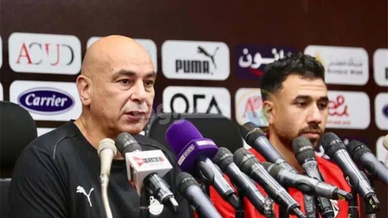 حسام حسن و تريزيجيه