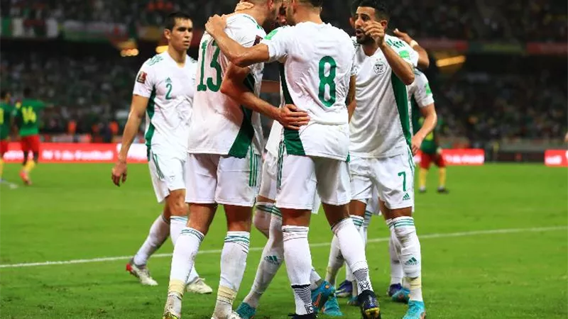 الجزائر تكتسح توجو بخماسية فى تصفيات أمم إفريقيا - فيديو