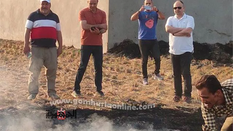 رئيس تنفيذي شئون البيئة يتفقد منظومة مكافحةالسحابةالسوداءبالشرقية