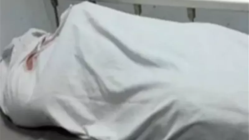 شاب ينهى حياة شقيقة بعصا خشبية فى كفر الشيخ