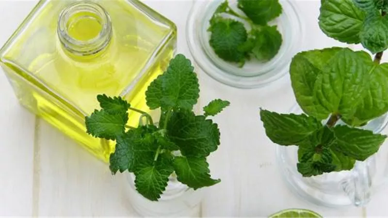 فوائد زيت النعناع العطري