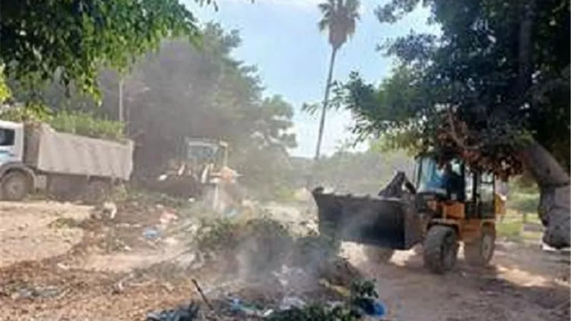 رفع كفاءة الحدائق بحي وسط الاسكندرية