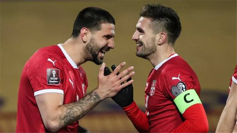 ميتروفيتش يضيف الهدف الثاني للمنتخب الصربي أمام سويسرا .. شاهد