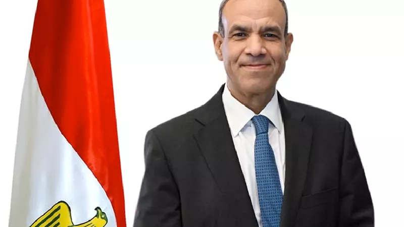 وزير الخارجية: مصر ستظل داعمة للتنمية بدول حوض النيل الشقيقة