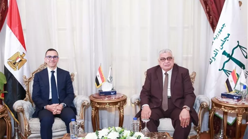 رئيس مجلس الدولة يستقبل وزير الاستثمار والتجارة الخارجية