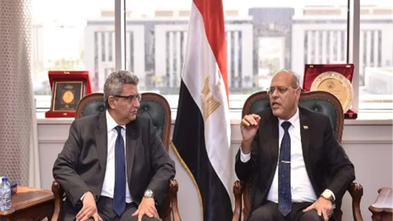 وزير العمل يبحث توفير فرص عمل للمصريين داخل 