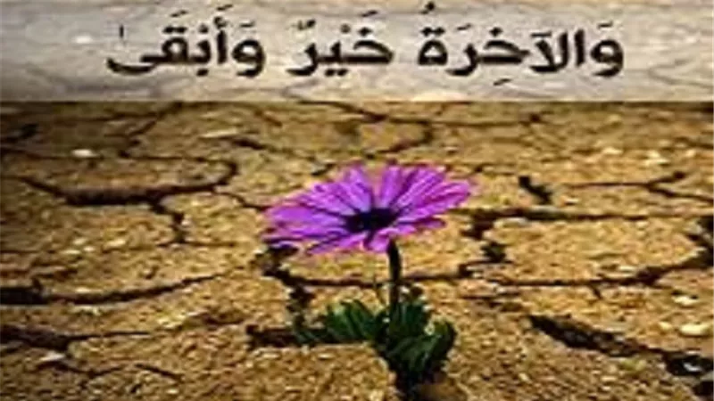 فى صحيح السنة..الاغترار بالدنيا يُضيع اجر الاخرة