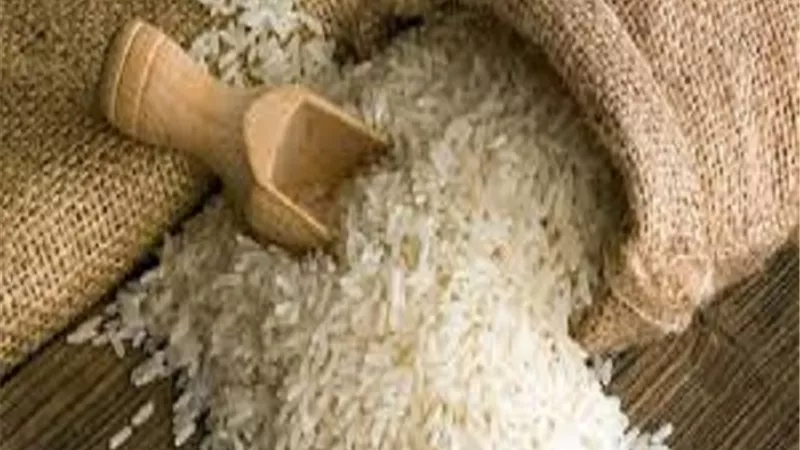5 أطنان للفدان.. مصر تنجح في استنباط أصناف جديدة من الأرز