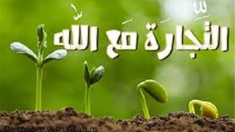 من جميل ما قرأت..تجارات لاتعرف الخسارة