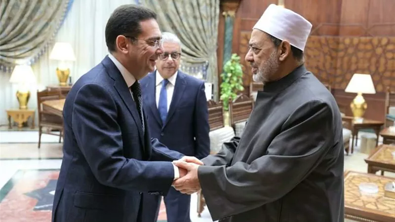 شيخ الأزهر يستقبل سفيرَيْ مصر الجديديْن لدى السعودية وهولندا