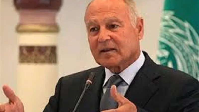 أبو الغيط: القضية الفلسطينية قضية كل العرب