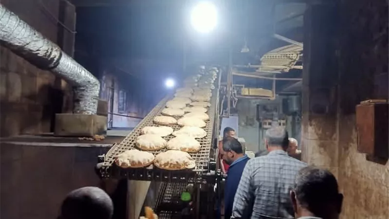 عبد المعطى..تحرير 19 محضرًا لمخالفات تموينية بقلين كفر الشيخ