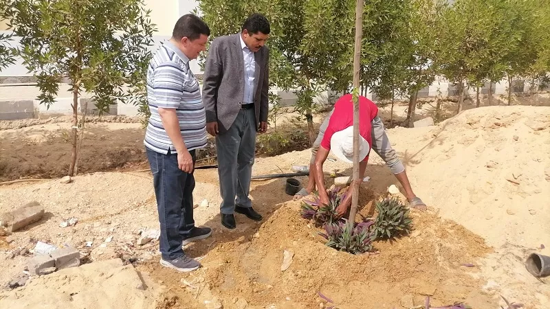 حملة تشجير بكلية التربية ببنى سويف