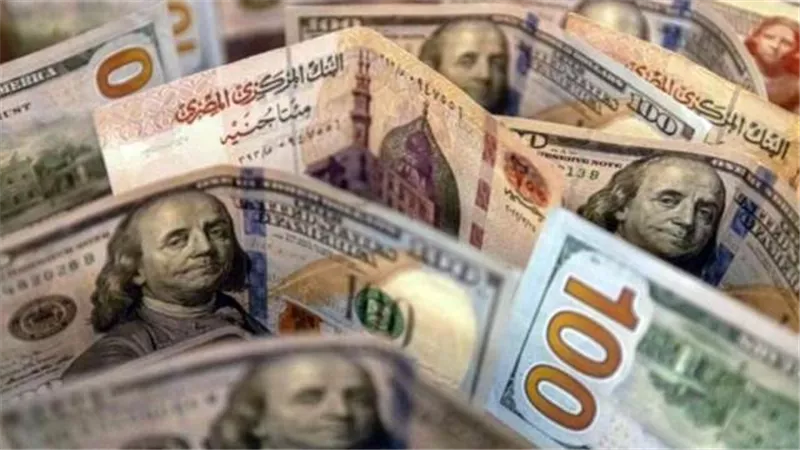 الدولار يتراجع أمام الجنيه خلال تعاملات البنوك المصرية اليوم