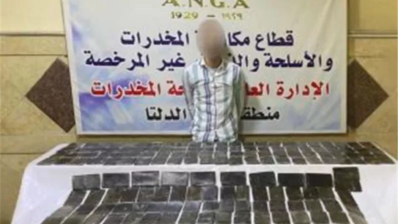 ضبط 