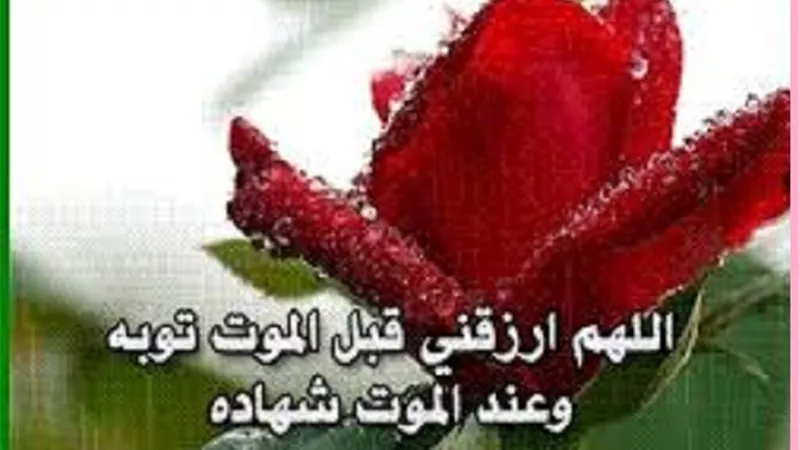 اللهم ارزقنا عيش الأتقياء وموتة الشهداء وحلاوة اللقاء بالنبىﷺ