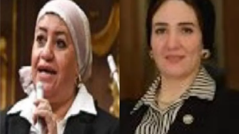 نواب الصعيد يطالبون بإنشاء مطار بالقرب من محطة بشتيل