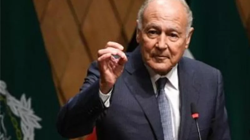 أبو الغيط: حكومة لبنان هي وحدها من يتفاوض باسم البلد