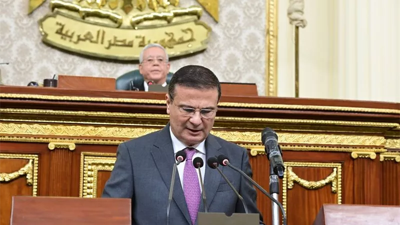 وزير الزراعة يستعرض إجراءات تعزيز الأمن الغذائي أمام مجلس النواب