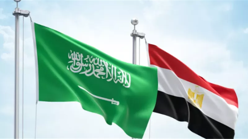 إنفوجراف.. ارتفاع التبادل التجاري بين مصر والسعودية بنسبة 32.7%