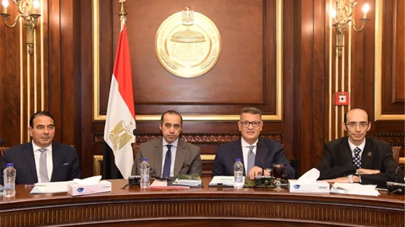 حقوق الانسان بالنواب تجتمع بالمنظمات الحقوقية لمناقشة تقرير مصر للمراجعة الدورية الشاملة UPR
