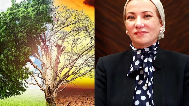 ياسمين فؤاد ضمن 10 قادة حكوميين مؤثرين.. لتحقيق الاستدامة