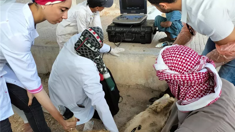 جامعة مطروح تنظم قافلة توعوية إرشادية شاملة بقرية الجفيرة