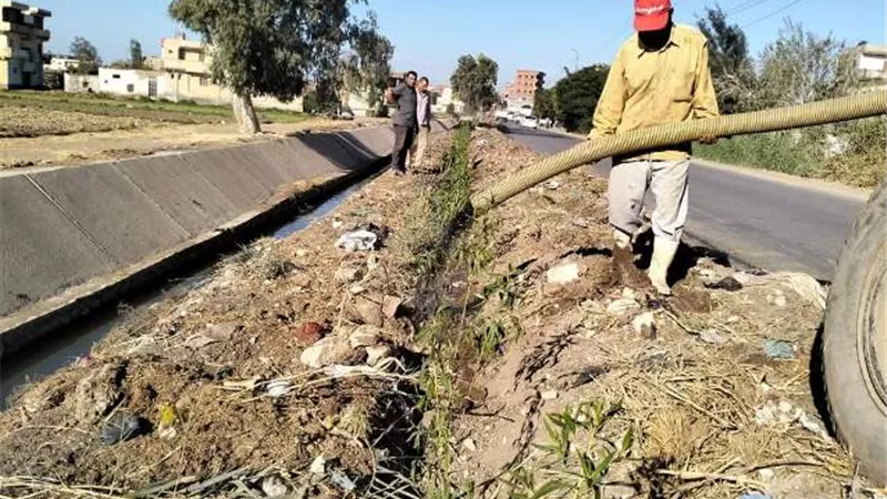 محافظ كفرالشيخ: استمرار زراعة الأشجار بسيدي سالم