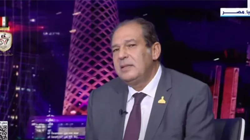 الخولي: نريد 30 مقعدا في مجلس النواب يشغلهم نواب تكنوقراط