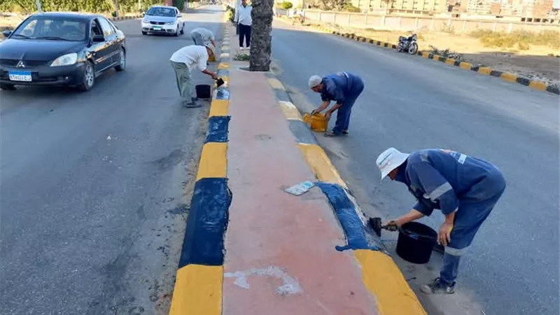 حملات نظافة وتجميل بدسوق استعدادا للعيد القومي للمحافظة 4 نوفمير