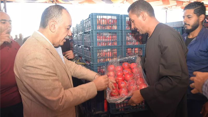 محافظ أسيوط يشهد حصاد 