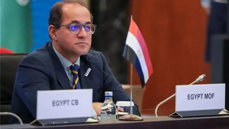 وزير المالية يختتم مشاركته فى الاجتماعات السنوية لصندوق النقد بواشنطن
