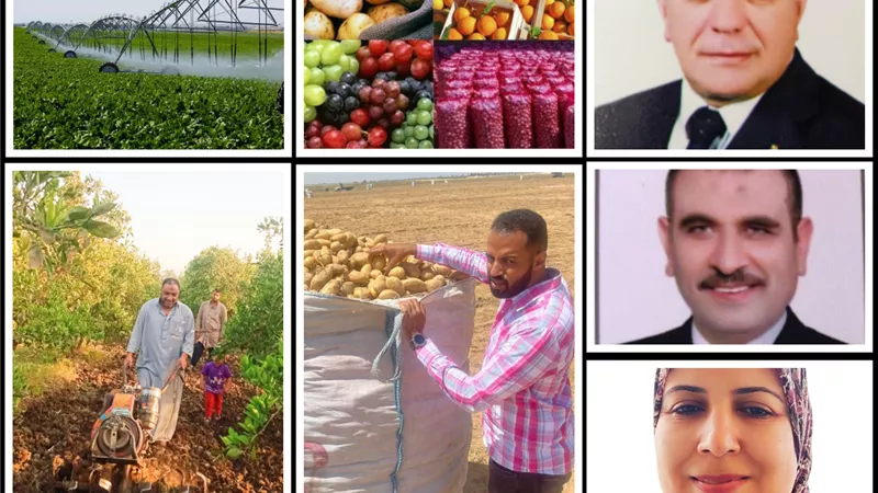روشتة علمية من خبراء الاقتصاد الزراعي..للسيطرة علي الأسواق